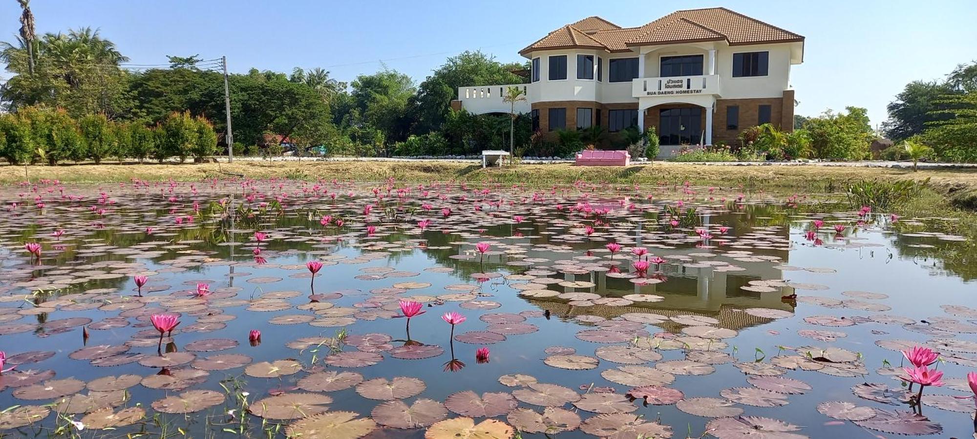 Bua Daeng Homestay Resort Kumphawapi Ngoại thất bức ảnh
